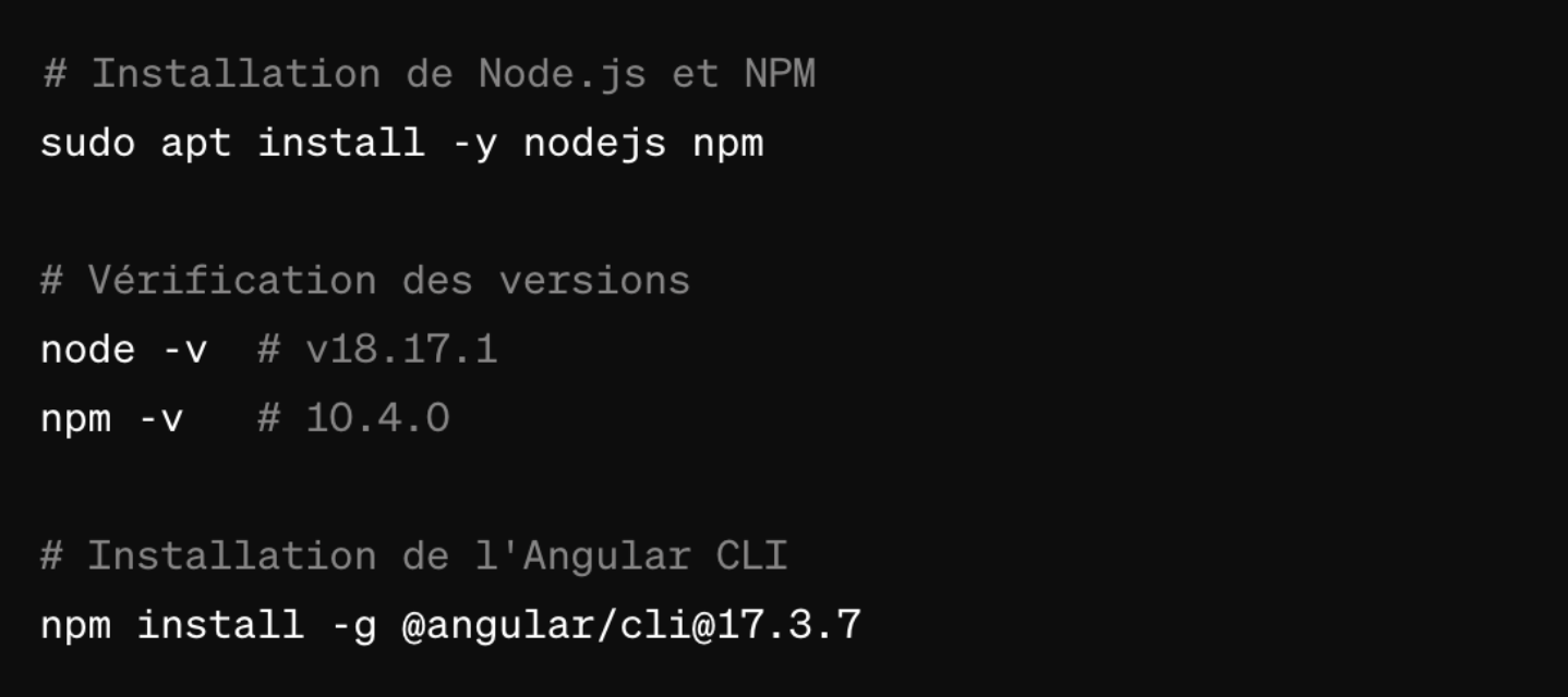 commandes pour installer Node.js et NPM